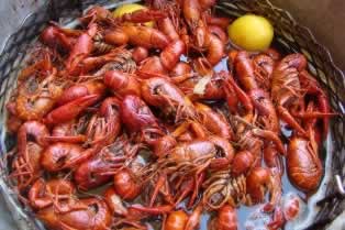 Boiled Louisiana crawfish ... a Cajun specialty