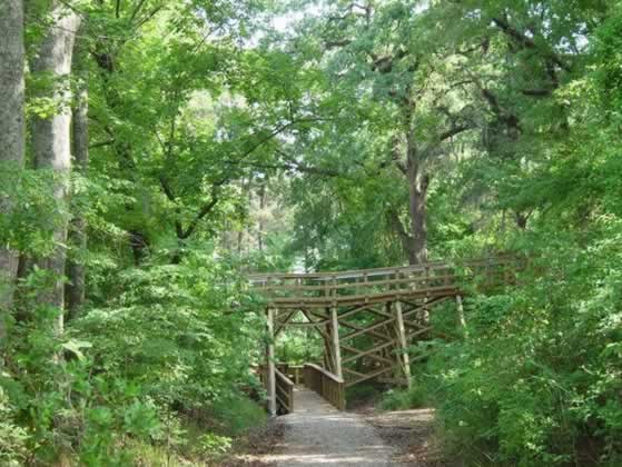 One of the boardwalks at the Forts Randolph and Buhlow State Historic Site One of the boardwalks at the Forts Randolph and Buhlow State Historic Site