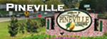 Pineville Louisiana Tourism, Things to Do, Maps and more